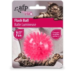 Flash Ball Toy for small pets